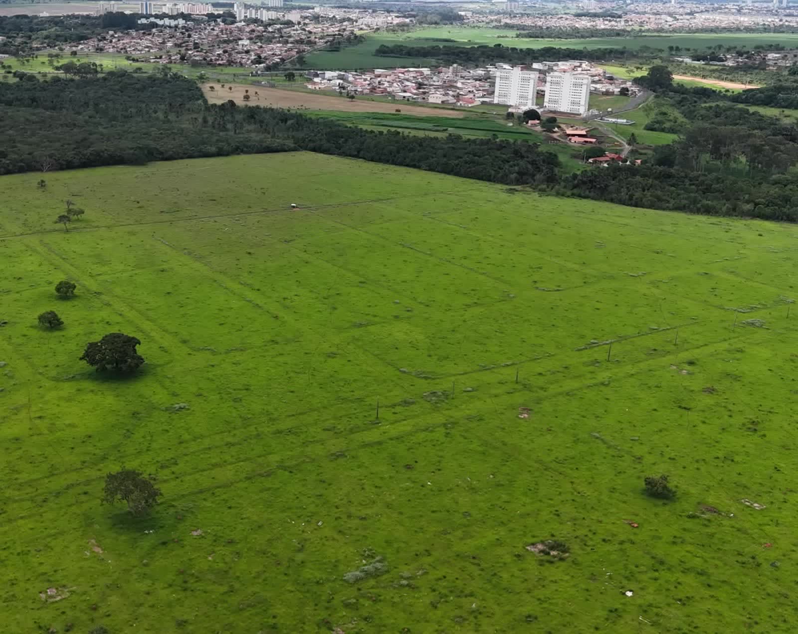 Área verde próxima ao Monte Hebron